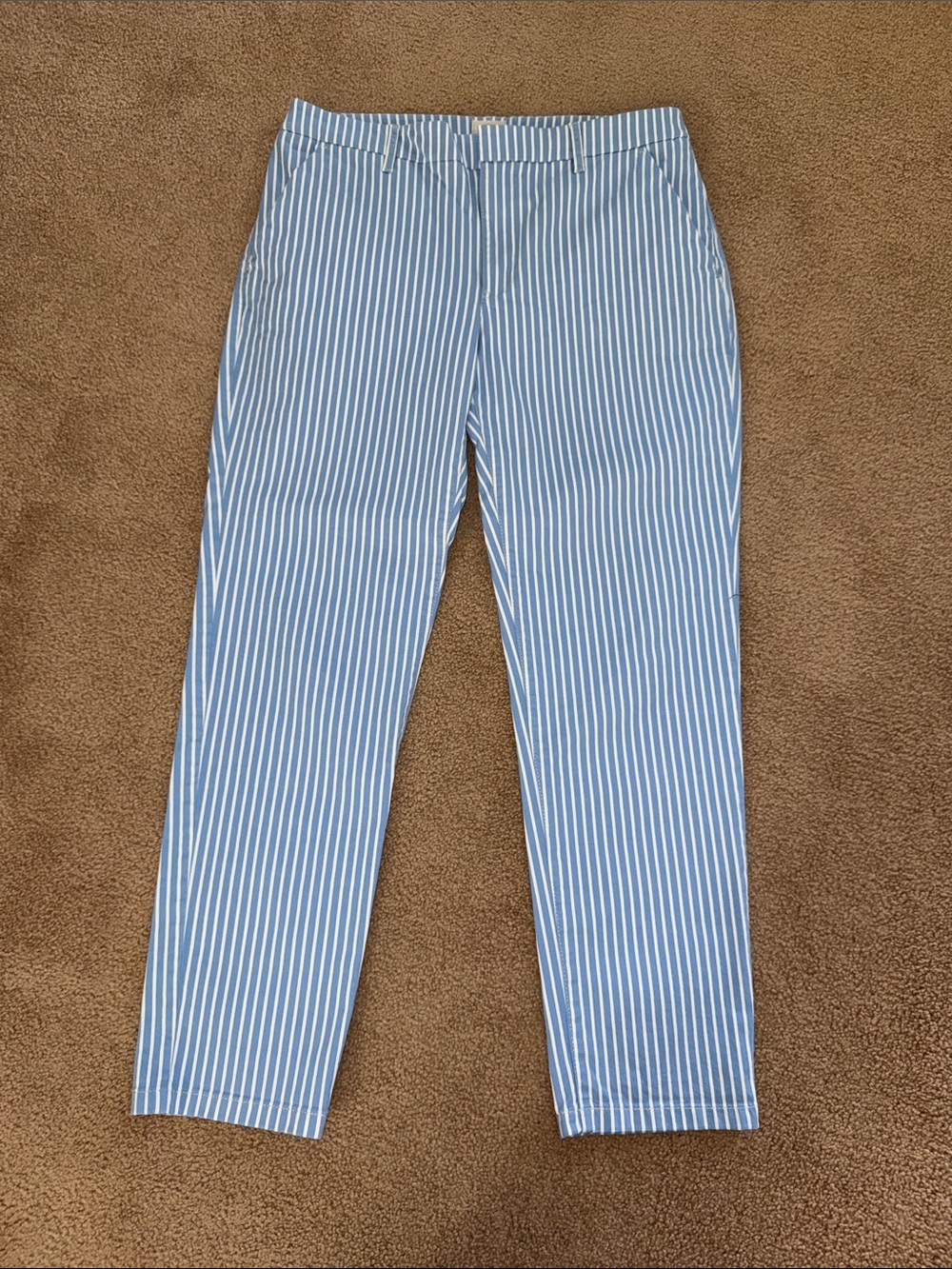J. Crew Light Blue and White Striped Cropped Pants slim boy Chino